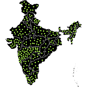 meckavo's dominance in turf construction in India