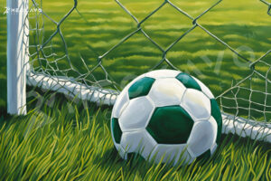 Meckavo sports mumbai turf news